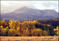 alpenwood-view-to-table-mtn.jpg