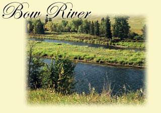Click here to learn more about the Bow River
