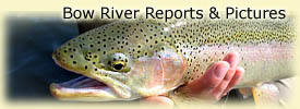 Click here for Bow River Reports & Pictures