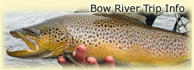 Click here for Bow River trip information