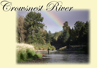 Click to learn more about the Crowsnest River