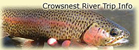 Click here for Crowsnest River trip information