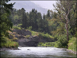 Crowsnest River with Turtle Mtn in background