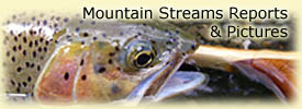 Click for reports & pics from our Mountain Streams