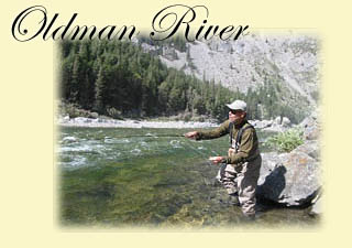 Click here for Oldman River trip information
