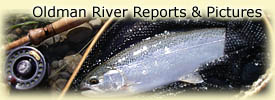 Click here for Oldman River Reports & Pictures