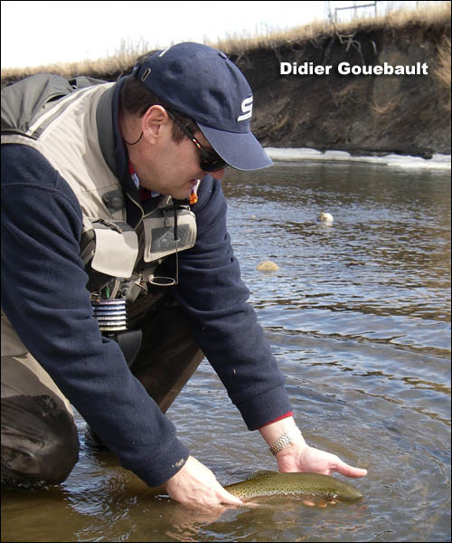 Didier releasing a Crowsnest rainbow - Mar 6 '07