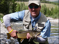 A typical Highwood River bull trout