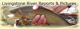 Click for Livingstone River reports and pictures!