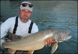 Massive Bull Trout from the Lower Oldman