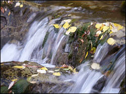 smallstreamwaterfall.jpg