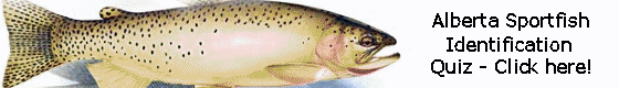 Click to test your fish identification skills!