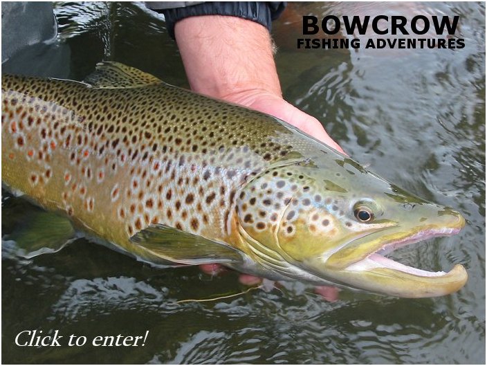 Welcome to Bowcrow Fishing Adventures! Click to enter site!